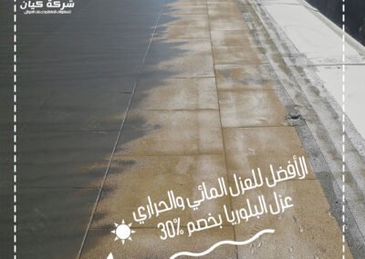 أفضل شركة عزل بلوريا-شركة كيان