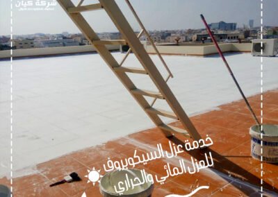 شركة كيان-سيكوبروف-عزل الأسطح