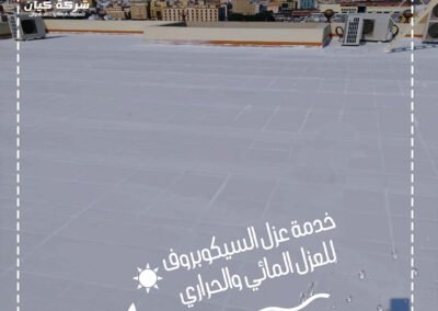 شركة كيان-سيكوبروف-عزل مائي وحراري